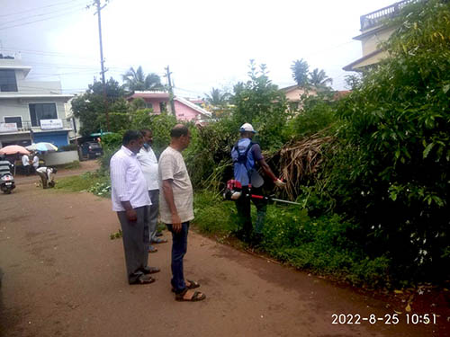 New Season de-weeding 2022