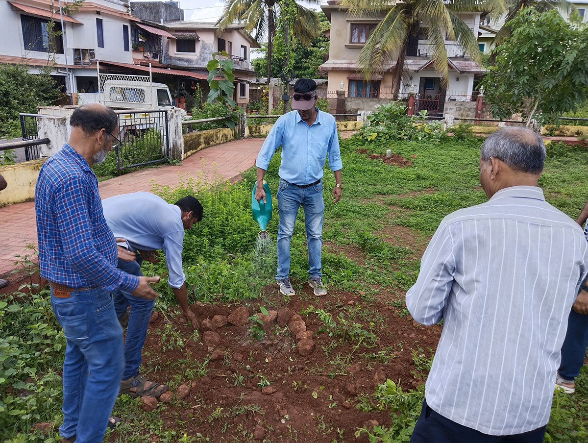 Seen here (from left) is association Ex-President Shri Santosh Desai, Mr. Stephen Johnson, Mr. Wilfred Fernandes (watering the sapling) and Shri Rajaram Patil (back to the camera).