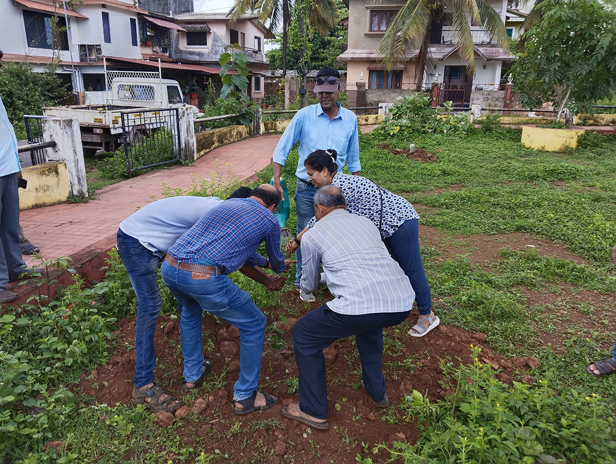 Seen here (from left) is association Ex-President Shri Santosh Desai (blue checked shirt), Mr. Stephen Johnson, Mr. Wilfred Fernandes (watering the sapling), Mrs. Varsha Naik and Shri Rajaram Patil. No water is being wasted.