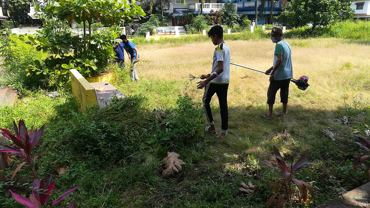 The weed clearing operation began at 10 a.m sharp and was in full swing within minutes.