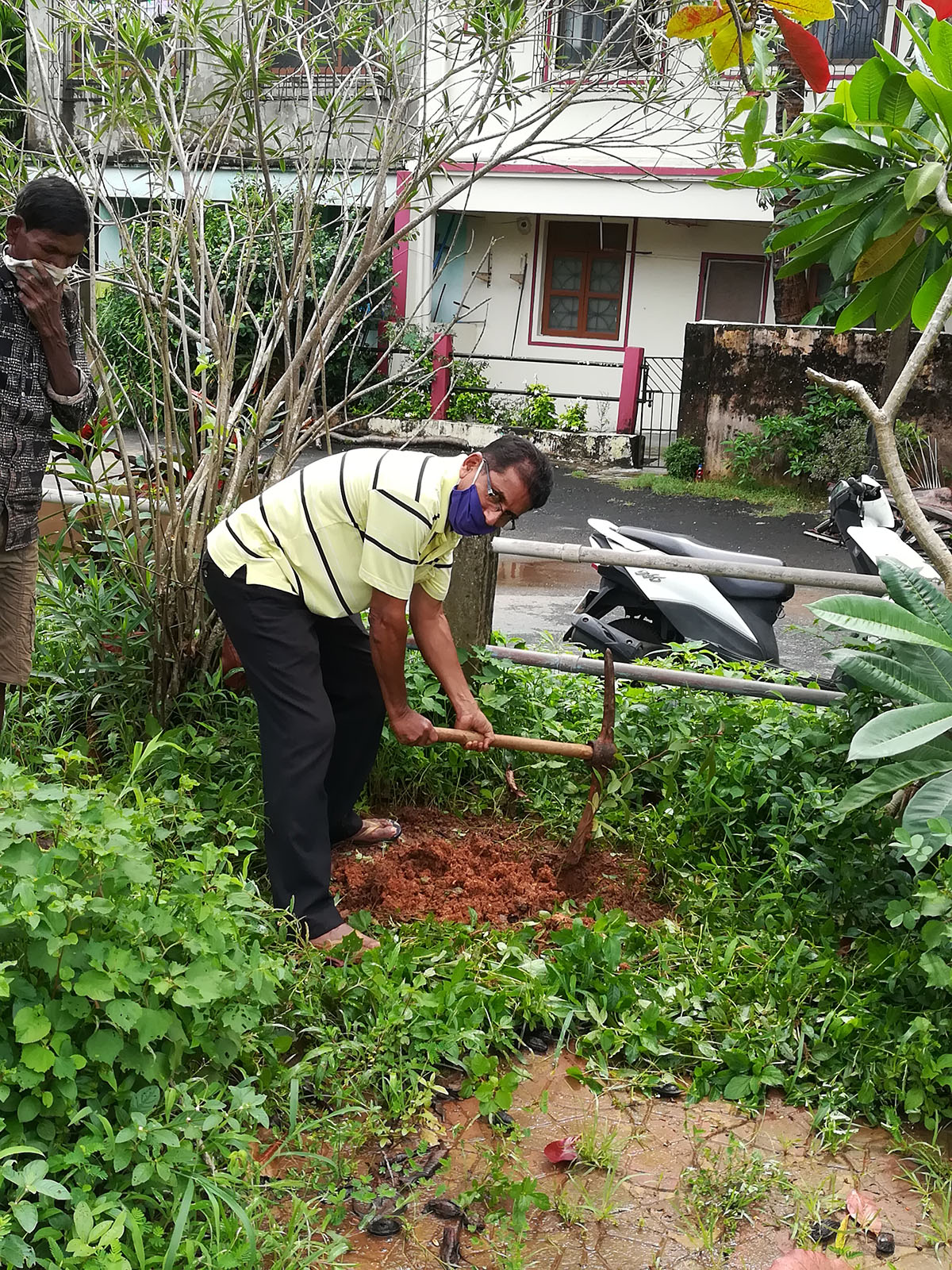 Francis Dias seen here planting the sapling at Leop Park, Suryanagar colony.