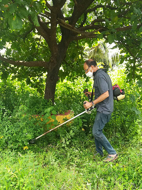 Weed cutting season begins